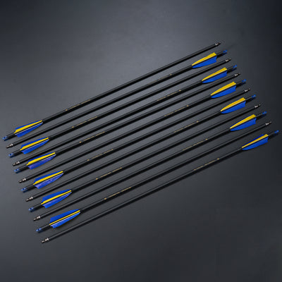 12x 31" Archery Carbon Arrows Spine 550 Blue Yellow Feathers for Recurve Bow Compound Bow Target