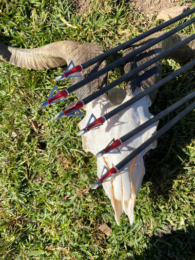 12x 100-grain Red/Silver Screw-in Broadheads with Alloy Box