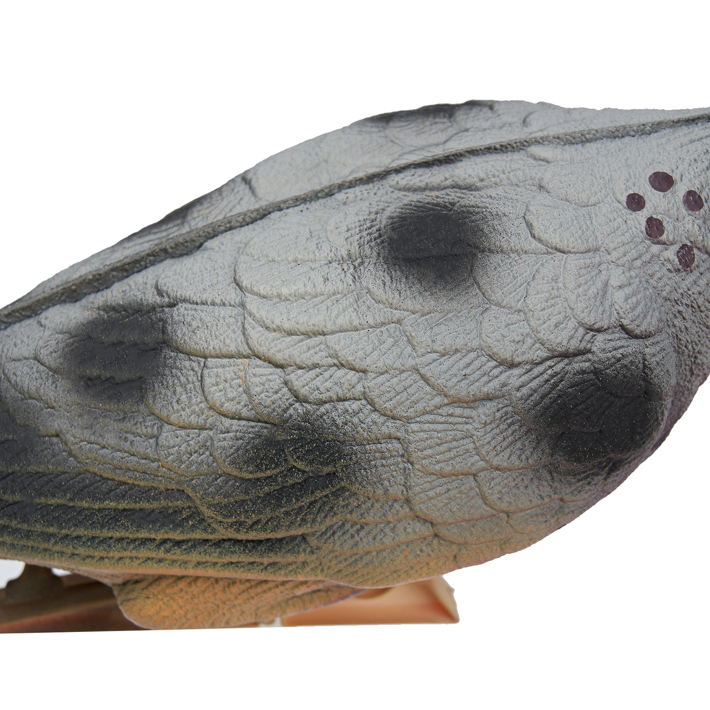 6x Archery EVA Foam 3D Pigeon Dove Bird Attracting Decoy Baits Animal Targets Decoration Hunting
