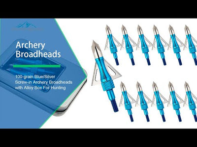 12x 100-grain Blue/Silver Screw-in Archery Broadheads with Alloy Box For Hunting